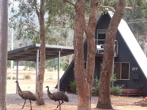 The A-Frame - Hotel VIC 9