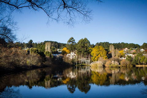 Chestnut Daylesford - Hotel VIC 14