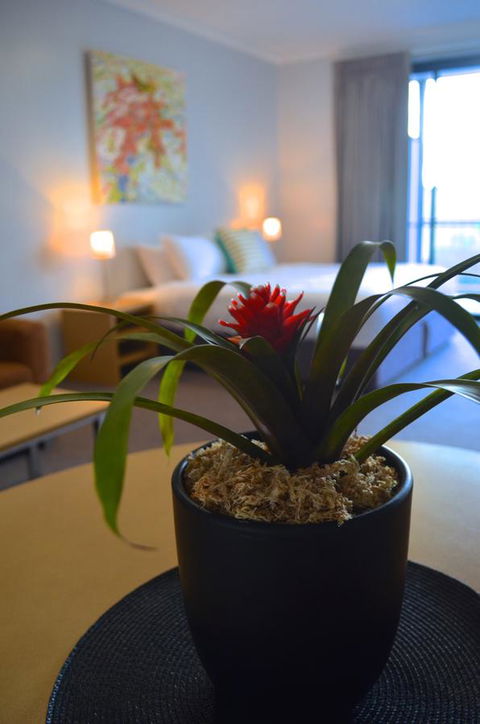 Mansfield Apartments - Hotel VIC 21