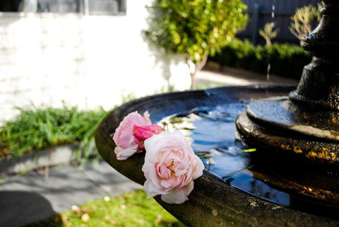 Bed Of Roses - Hotel VIC 35
