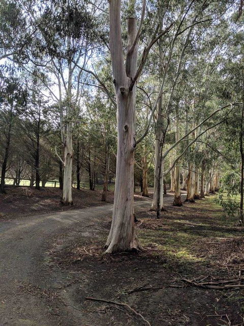 Kangaroo Manor - Hotel VIC 10