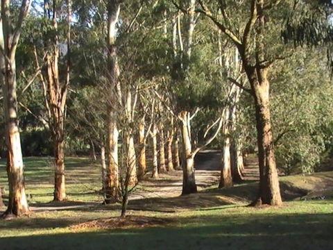 Kangaroo Manor - Hotel VIC 21