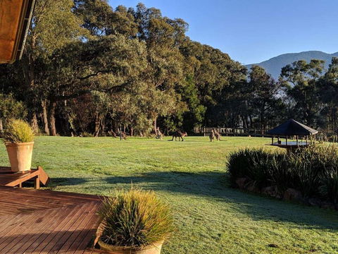 Kangaroo Manor - Hotel VIC 5
