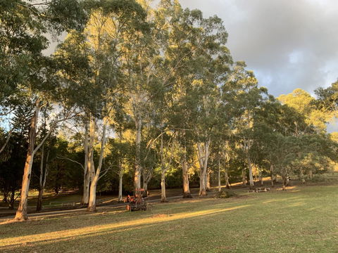 Kangaroo Manor - Hotel VIC 15