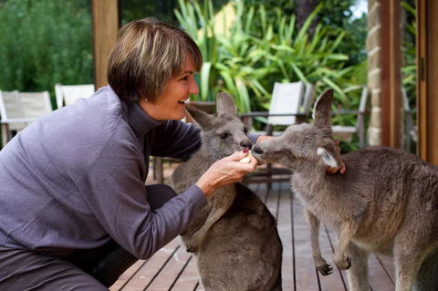 Kangaroo Manor - Hotel VIC 20