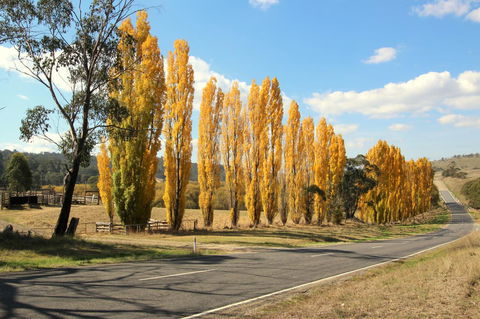 3 Bells Alpine Cottage - Hotel VIC 20