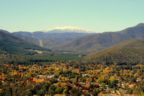3 Bells Alpine Cottage - Hotel VIC 24