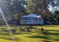 Book Peregian Beach Accommodation Vacations Hotel VIC Hotel VIC