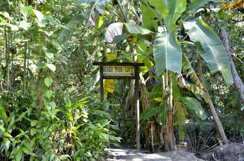 PK\'s Jungle Village - Hotel VIC 23