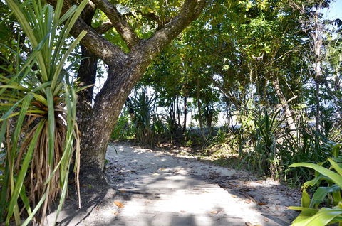 PK\'s Jungle Village - Hotel VIC 28