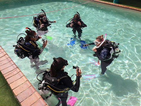 Backpackers In Paradise 18-35 Hostel - Hotel VIC 18