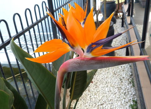 Gaia On Bribie Island - Hotel VIC 24