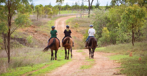 Ironbark House - Hotel VIC 22