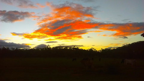 Ironbark House - Hotel VIC 32