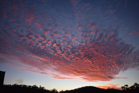 Ironbark House - Hotel VIC 6