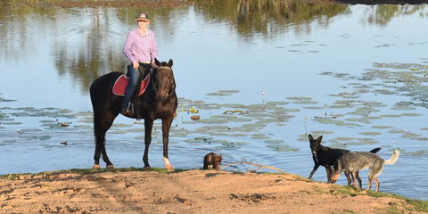 Ironbark House - Hotel VIC 39