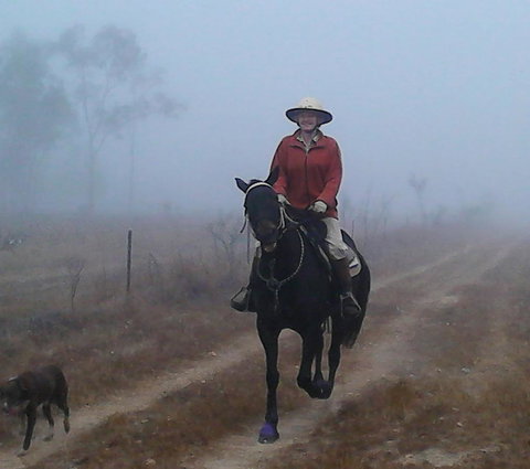 Ironbark House - Hotel VIC 37