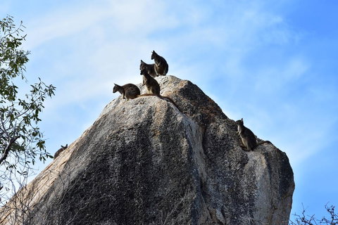 Ironbark House - Hotel VIC 38