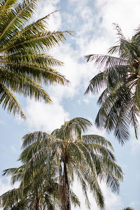 Novotel Cairns Oasis Resort - Hotel VIC 9