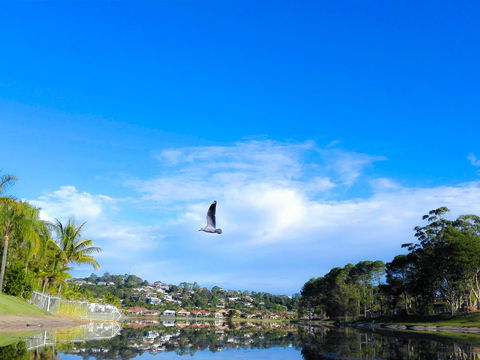 Bay Of Palms - Hotel VIC 18