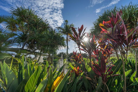 Currumbin Sands On The Beach - Hotel VIC 9