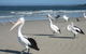 Fairways Golf & Beach Retreat Bribie Island - thumb 3