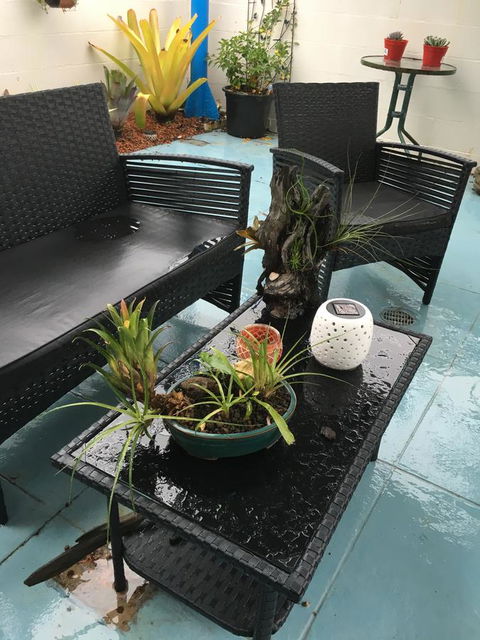 Black Marlin Motel - Hotel VIC 3