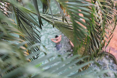 Coral Tree Inn - Hotel VIC 36