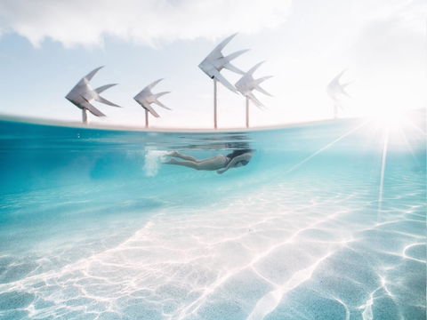 Coral Tree Inn - Hotel VIC 39