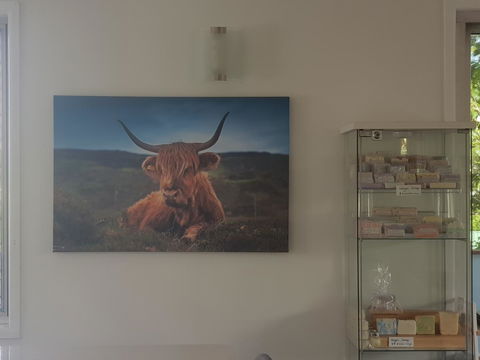 Highland House - Hotel VIC 4