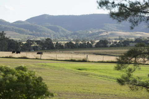 Windarra Lodge - Hotel VIC 3