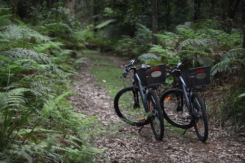 Woodlands Rainforest Retreat - Hotel VIC 2