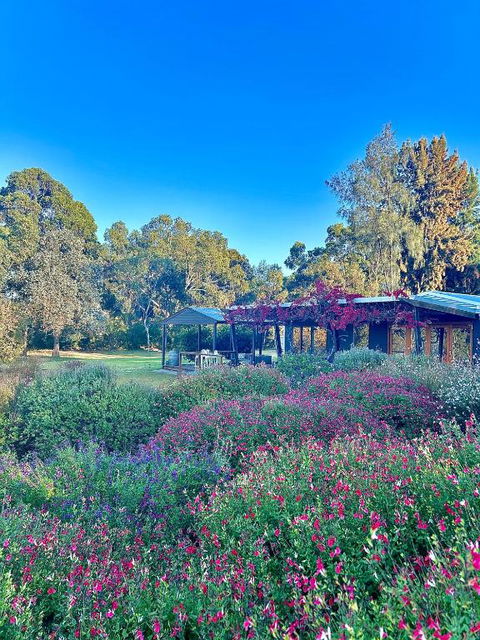 Alluca Villa McLaren Vale Vineyard Escape - Hotel VIC 4