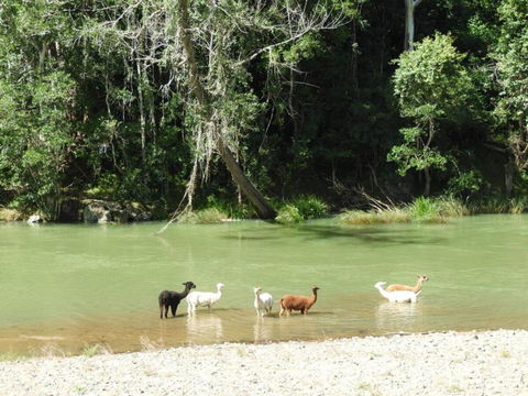 Avalon River Retreat - 400 Acre Riverside Oasis - Hotel VIC 4