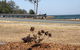 Bribie Waterways Motel - thumb 18