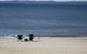 Close To Surf Beach, Surf Club, Hotel And Shops - Boyd St, Woorim - thumb 9