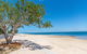 Spectacular Unit Overlooking Pumicestone Passage - Welsby Pde, Bongaree - thumb 3