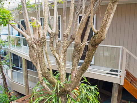 Sandcastles On Main - Hotel VIC 8