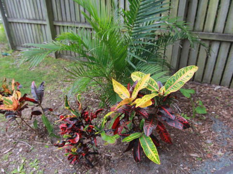 Beachside By Discover Stradbroke - Hotel VIC 4