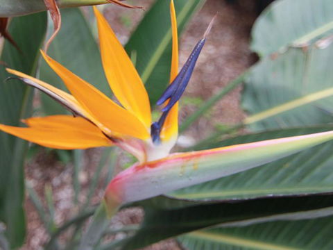 Beachside By Discover Stradbroke - Hotel VIC 2