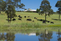 Book Nabiac Accommodation Vacations Hotel VIC Hotel VIC
