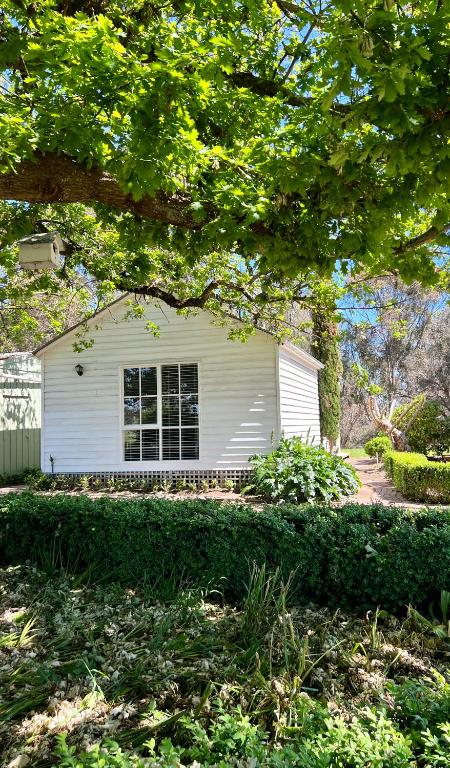 Birchwood Cottage - Hotel VIC 4