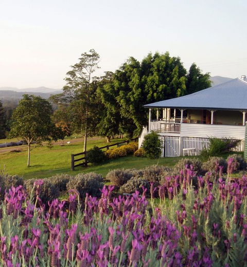 Dayboro - Blue Ridge Lavender Cottage - Hotel VIC 4
