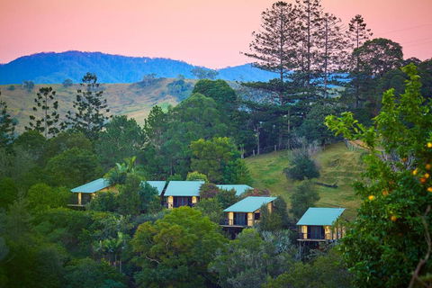 Dayboro Cottages - Hotel VIC 0