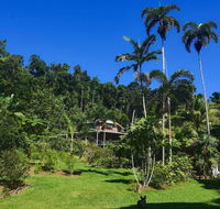 A Daintree Garden - Hotel VIC