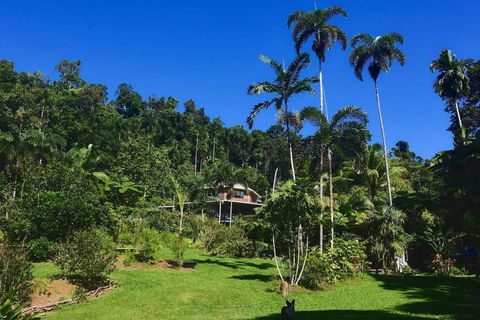 A Daintree Garden - Hotel VIC 0
