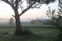 Book Heyfield Accommodation Vacations Hotel VIC Hotel VIC