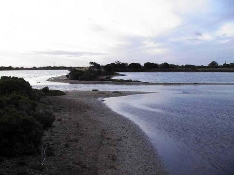 Absolute Waterfront - Hotel VIC 1