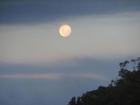 Eildon Parkview Motor Inn Room 9 - Hotel VIC 2