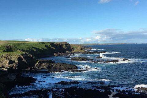 Adrift At Ventnor On Phillip Island, Pets - Hotel VIC 1